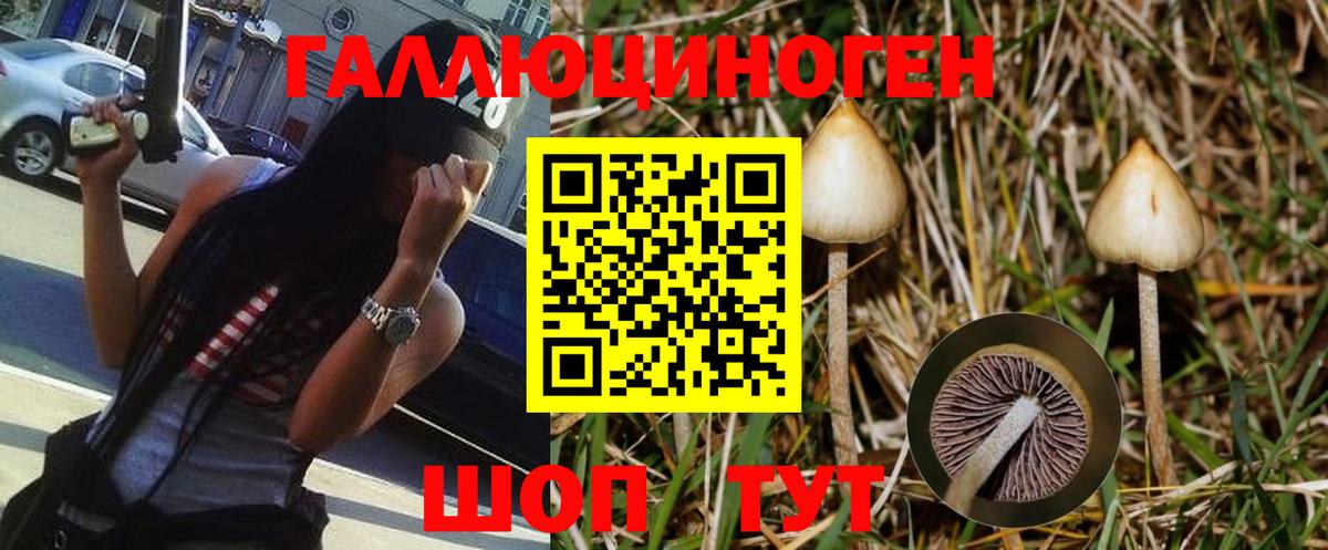 Галлюциногенные грибы Psilocybe  Вход с VPN  Калач-на-Дону 